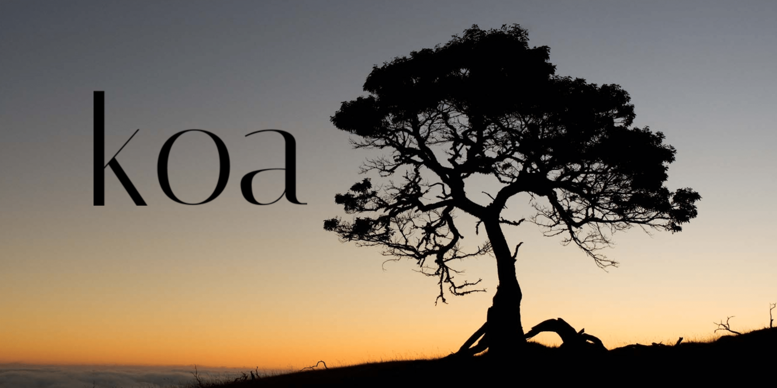 Fantastic 13 Node Microservice Framework In 2024 4 Koa node microservice framework