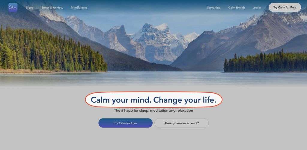9 Key Elements of a High-Converting Landing Page - With Examples 3 calm heading landing page element