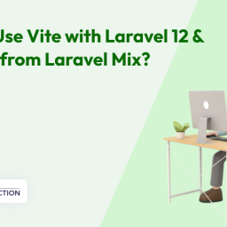How to Use Vite with Laravel 12 & Migrate from Laravel Mix? 27 Laravel vite setup
